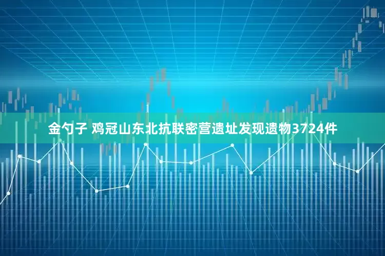 金勺子 鸡冠山东北抗联密营遗址发现遗物3724件