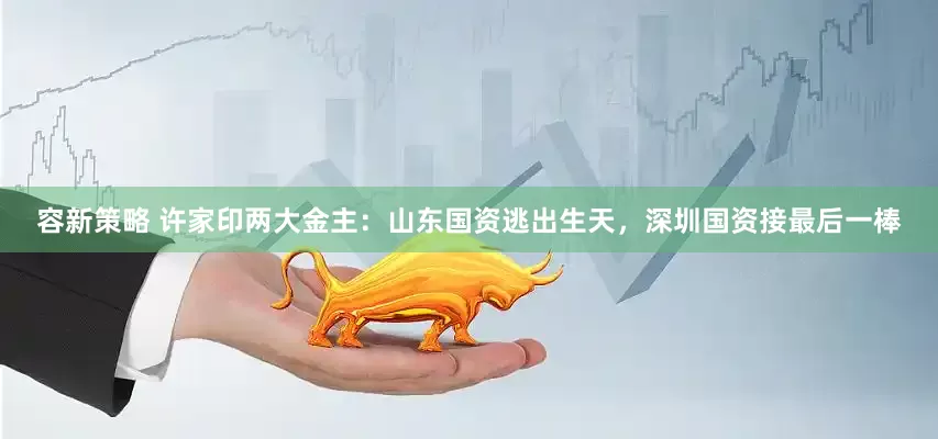 容新策略 许家印两大金主：山东国资逃出生天，深圳国资接最后一棒