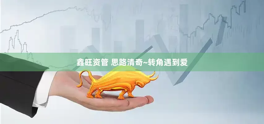 鑫旺资管 思路清奇~转角遇到爱