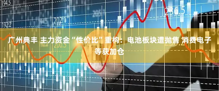 广州典丰 主力资金“性价比”重构：电池板块遭抛售 消费电子等获加仓